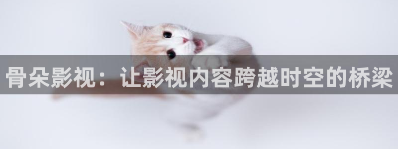 木瓜影视网电影大全