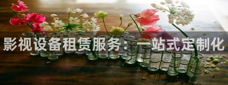 木瓜影视app