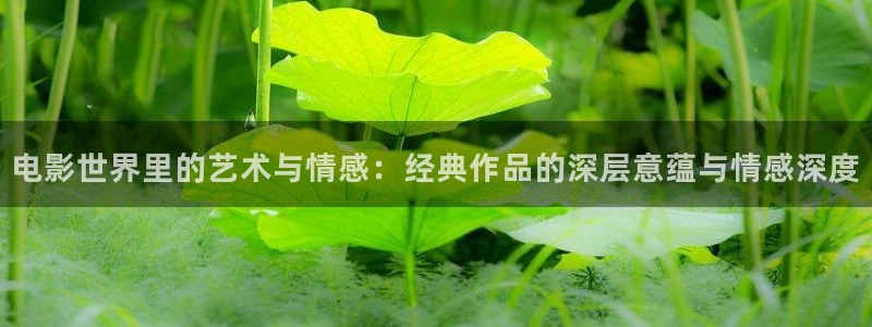 木瓜影视网电影大全