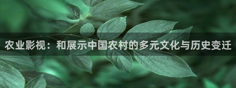 木瓜影视大全