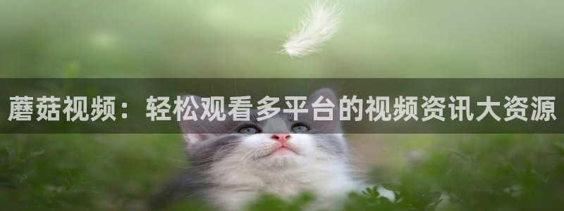 木瓜影院免费观看电视连续剧