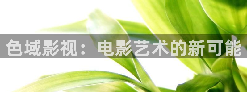 木瓜好看的电影