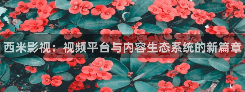 木瓜视频木瓜视频
