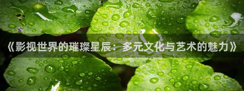 午夜木瓜电影网