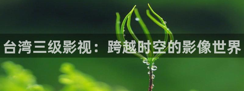 木瓜影视在线观看