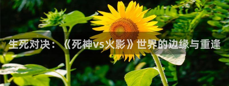 木瓜影院午夜