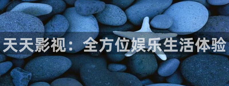 木瓜视频网