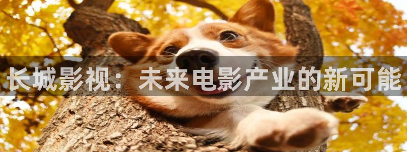 木瓜电影网网址